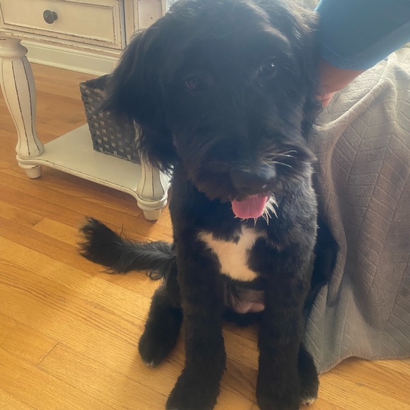 Meet your Posher, Andrea - Picture 11 of 16